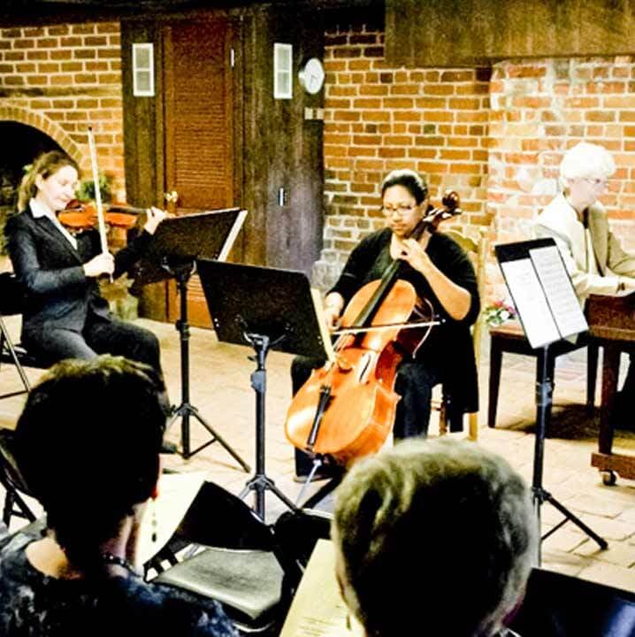Musicians Playing Cello and Violin at Private Event