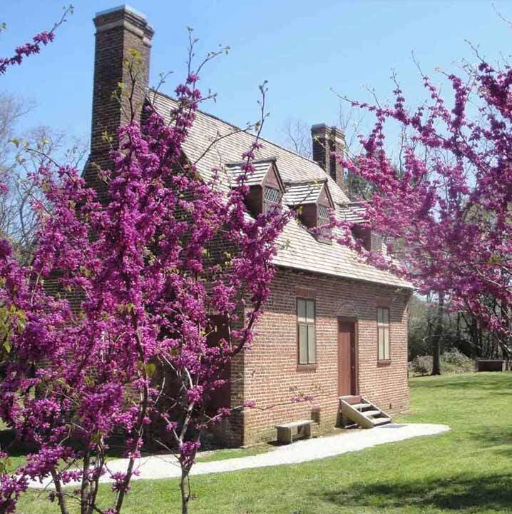 Lynnhaven House with Blossomed Crate Myrtle Tree