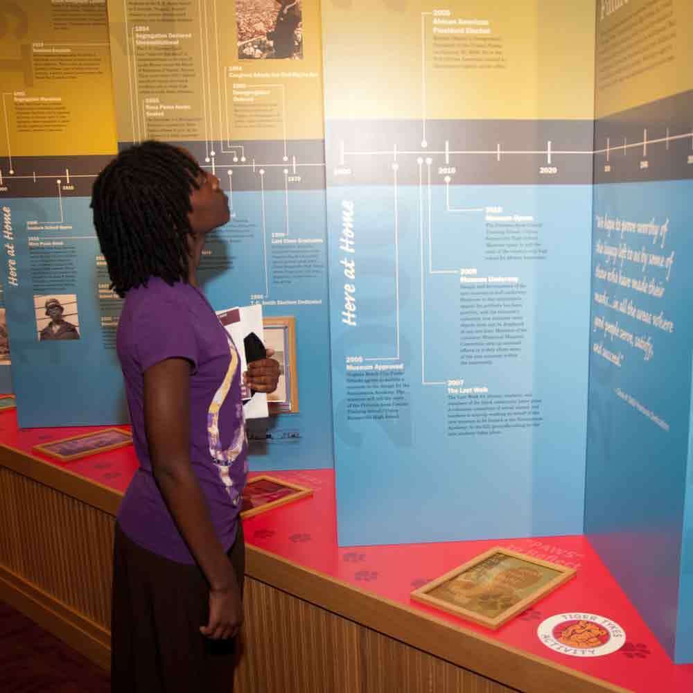 Visitor Looking at Board of Timelines for the School